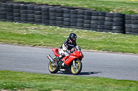 enduro-digital-images;event-digital-images;eventdigitalimages;lydden-hill;lydden-no-limits-trackday;lydden-photographs;lydden-trackday-photographs;no-limits-trackdays;peter-wileman-photography;racing-digital-images;trackday-digital-images;trackday-photos